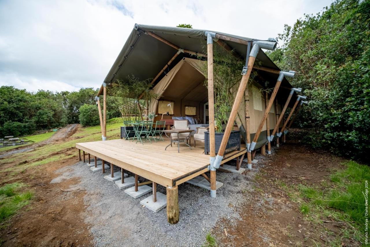Diana Dea Lodge Sainte Anne Exterior foto